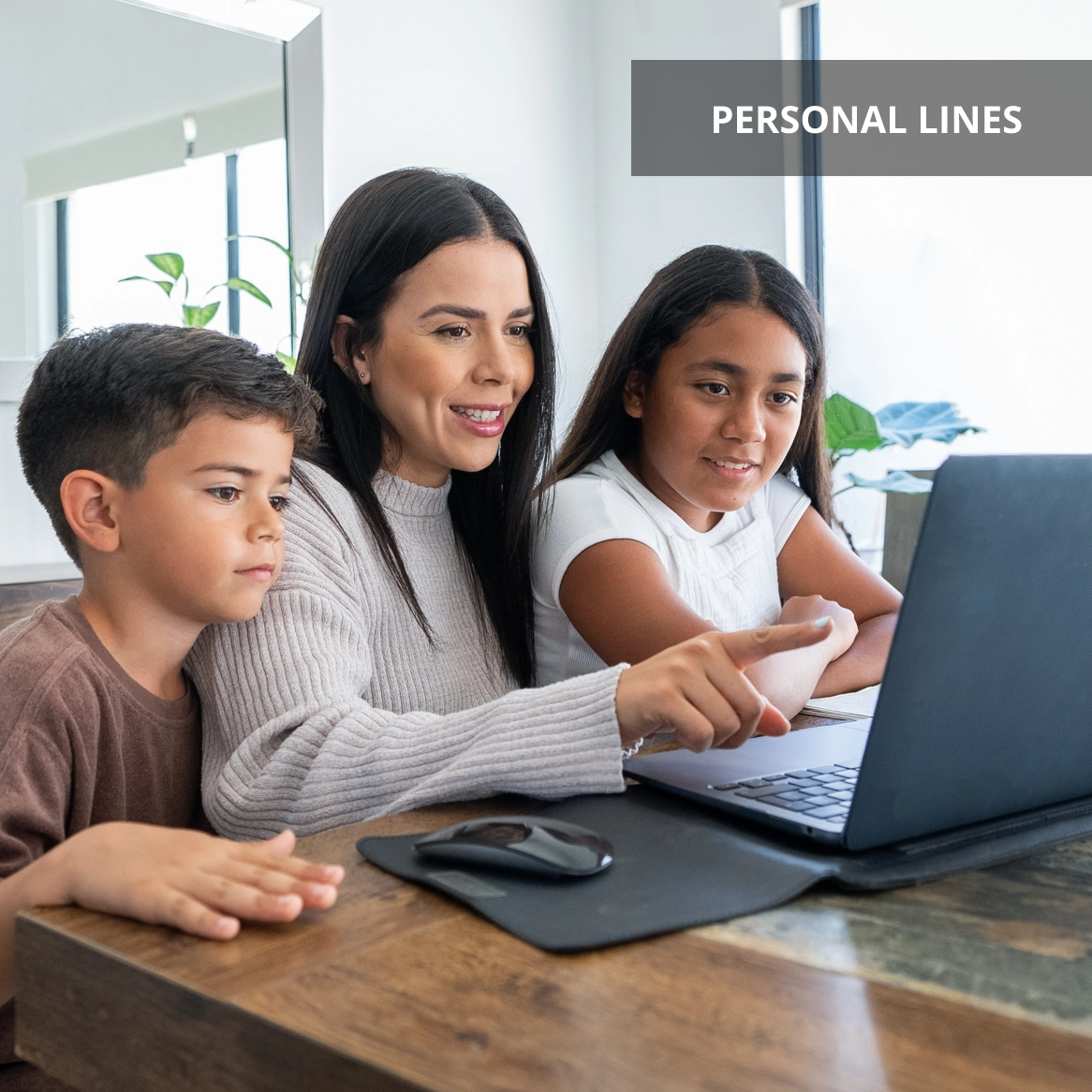 Family Cyber Protection